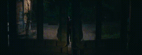 ͼƬ